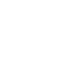 Real Estate Consultant