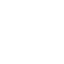 Tax Consultant